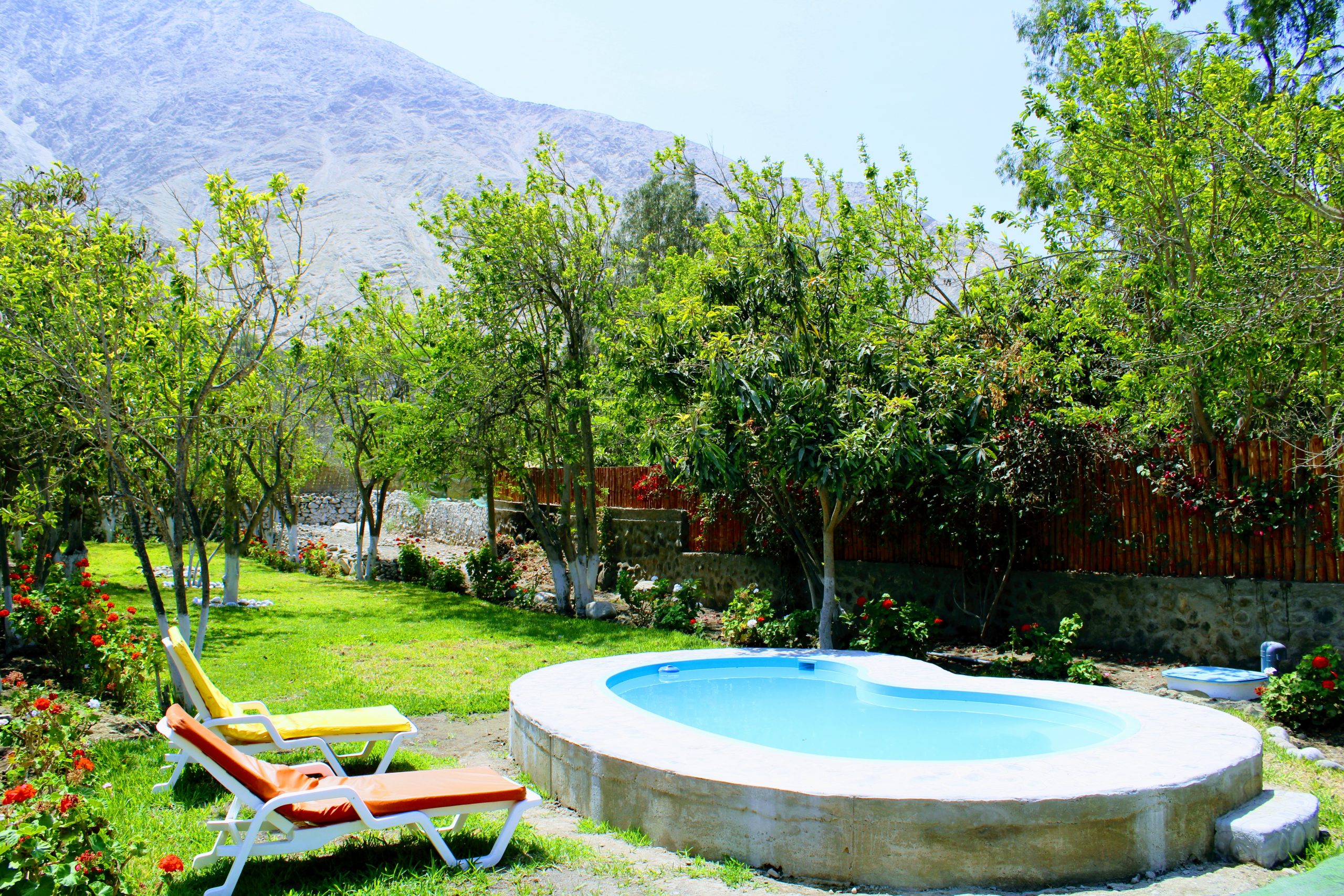 20211203114235_IMG_1140_2